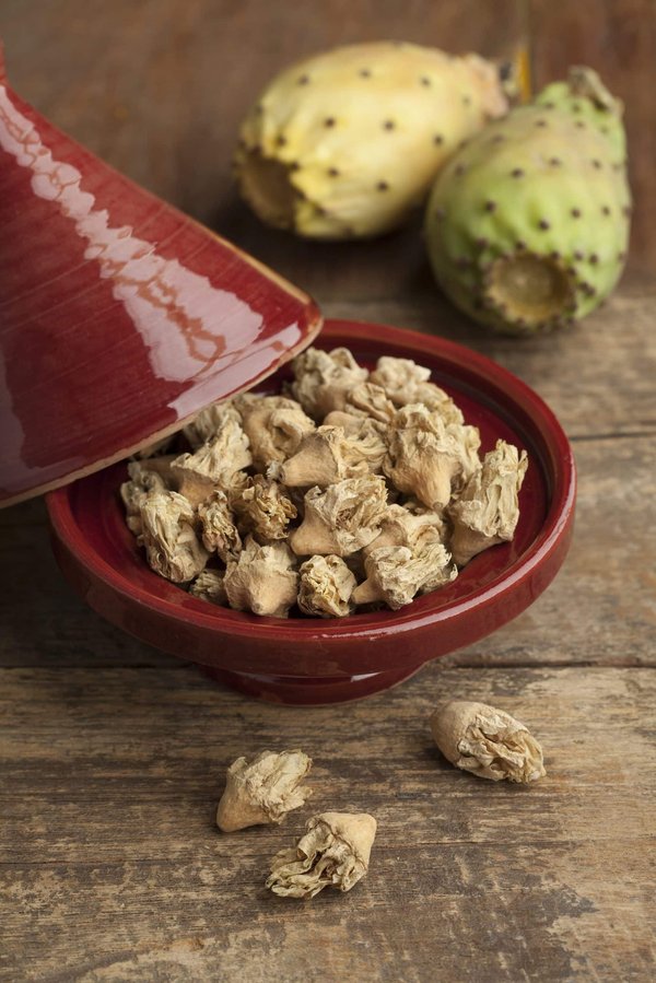 Comment cultiver un figuier en pot dans un jardin d'hiver urbain ?